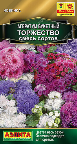Агератум Торжество букетный, смесь сортов 