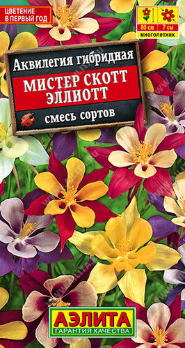 Аквилегия Мистер Скотт Эллиотт, смесь