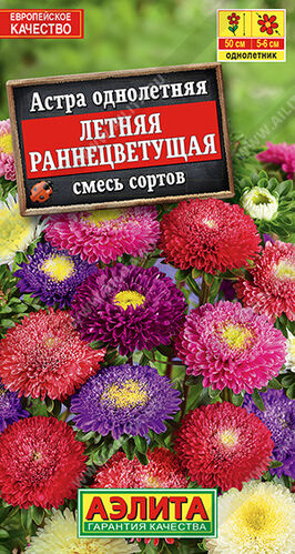 Астра Летняя раннецветущая, смесь сортов