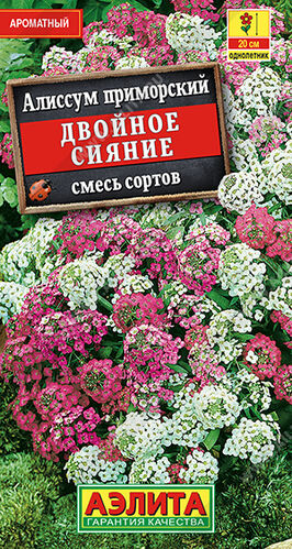 Алиссум Двойное сияние, смесь окрасок 