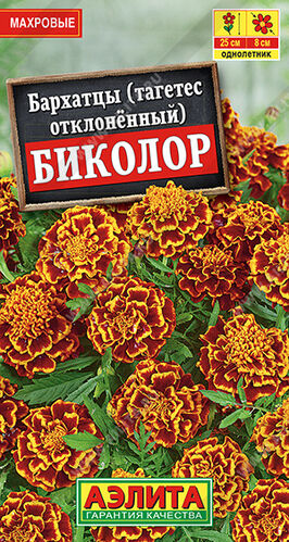 Бархатцы (тагетес) откл. Биколор
