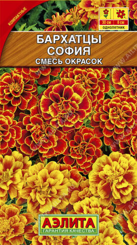 Бархатцы (тагетес) откл. София, смесь окрасок 
