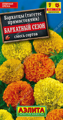 Бархатцы (тагетес) прям. Бархатный сезон, смесь сортов 