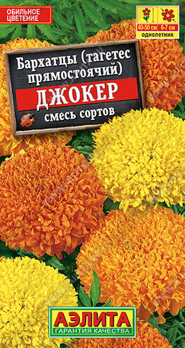 Бархатцы (тагетес) прям. Джокер, смесь окрасок 