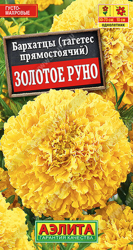 Бархатцы (тагетес) прям. Золотое руно 