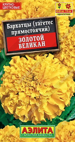 Бархатцы (тагетес) прям. Золотой великан 