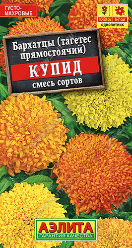 Бархатцы (тагетес) прям. Купид смесь хризантемовидная 