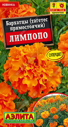 Бархатцы (тагетес) прям. Лимпопо 