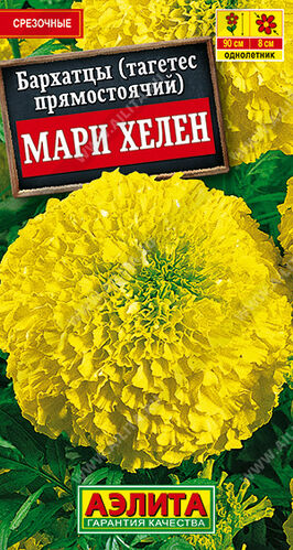 Бархатцы (тагетес) прям. Мари Хелен 