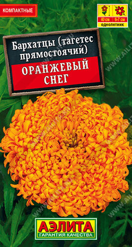 Бархатцы (тагетес) прям. Оранжевый снег 