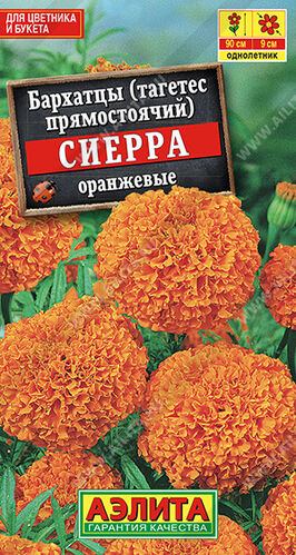 Бархатцы (тагетес) прям. Сиерра оранжевые 