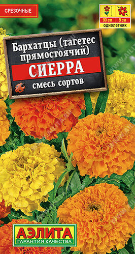 Бархатцы (тагетес) прям. Сиерра, смесь