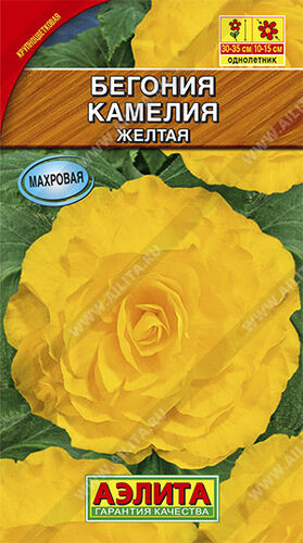 Бегония крупноцветковая Камелия жёлтая