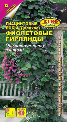 Бобы гиацинтовые (Долихос) Фиолетовые гирлянды  С
