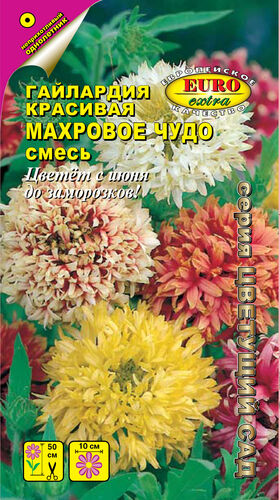 Гайлардия красивая Махровое чудо, смесь С