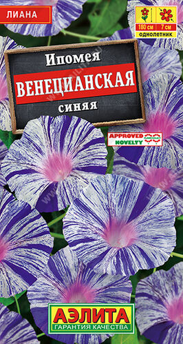 Ипомея Венецианская синяя
