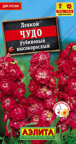 Левкой Чудо рубиновый высокорослый                    