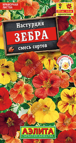 Настурция Зебра вьющаяся, смесь